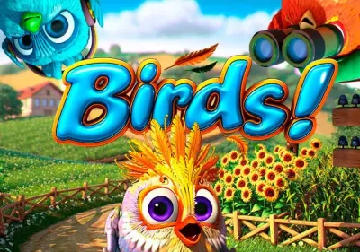 Birds game thumbnail